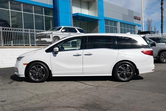 2023 Honda Odyssey Elite